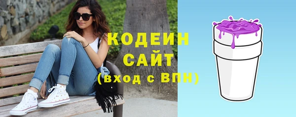 хмурый Сатка