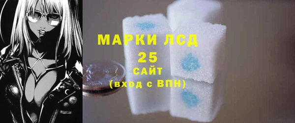 индика Абинск