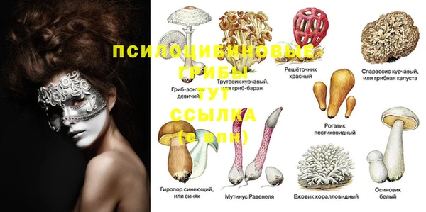индика Абинск