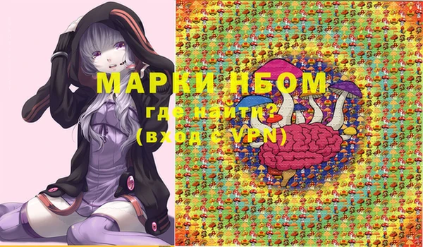 индика Абинск