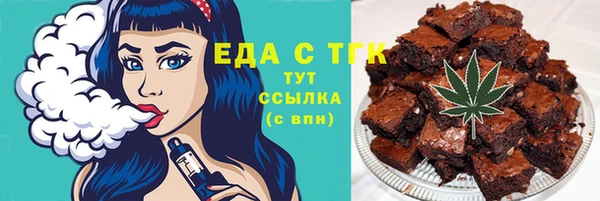 индика Абинск