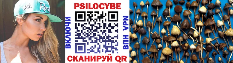 Псилоцибиновые грибы Psilocybine cubensis Вилюйск